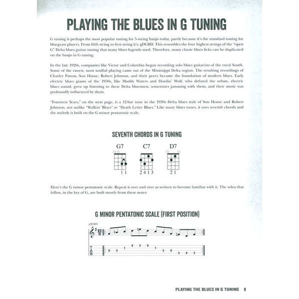 Hal Leonard Blues Banjo Lessons