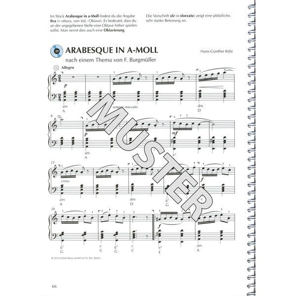 Schott Akkordeon Spielen Hobby 2
