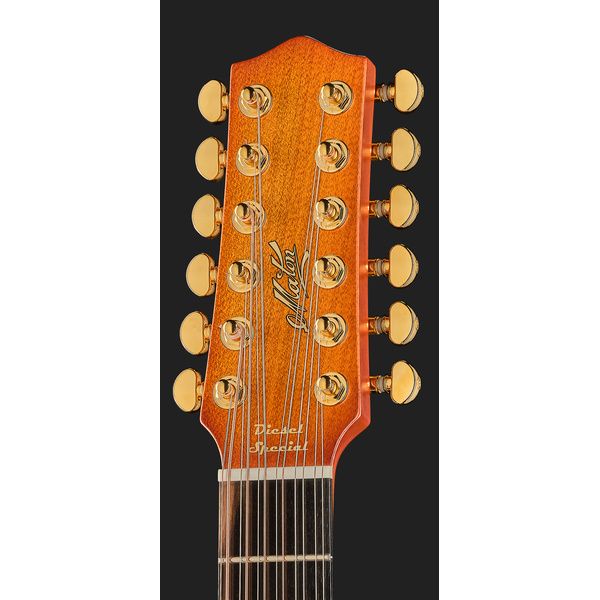 Maton EMD12