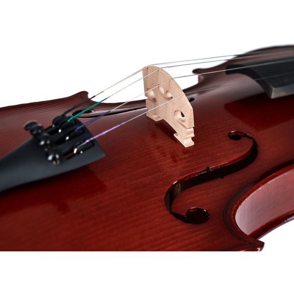 Gewa Pure Violinset EW 4/4