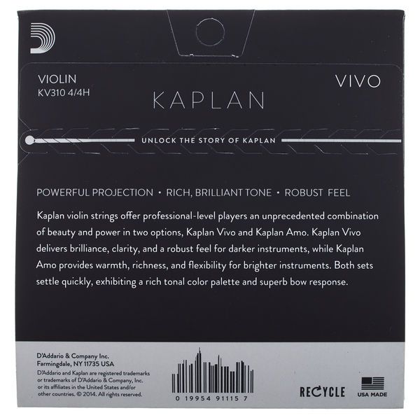 Kaplan KV310-4/4H Vivo Violin Heavy