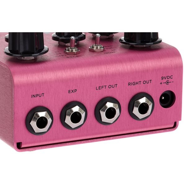 Strymon Dig Dual Digital Delay