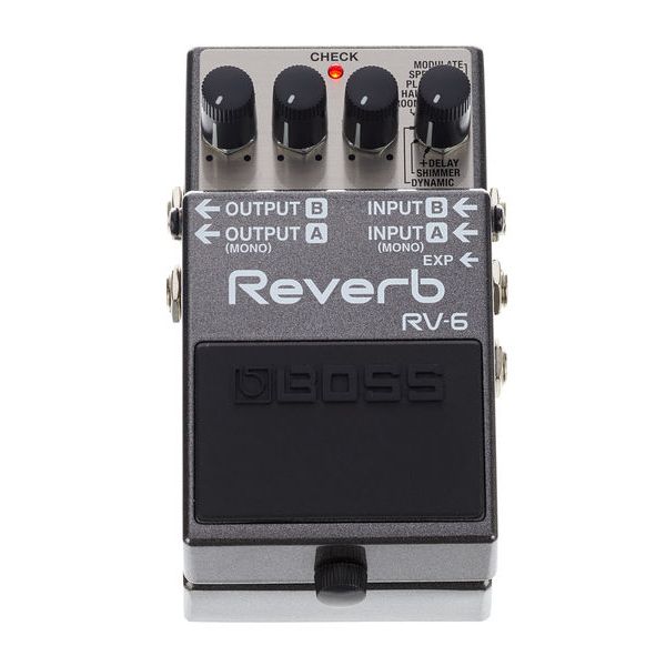 Boss GE-7 7-band EQ Pedal & RV-6 Digital Reverb