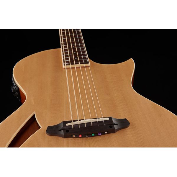 ESP LTD TL-6 NAT