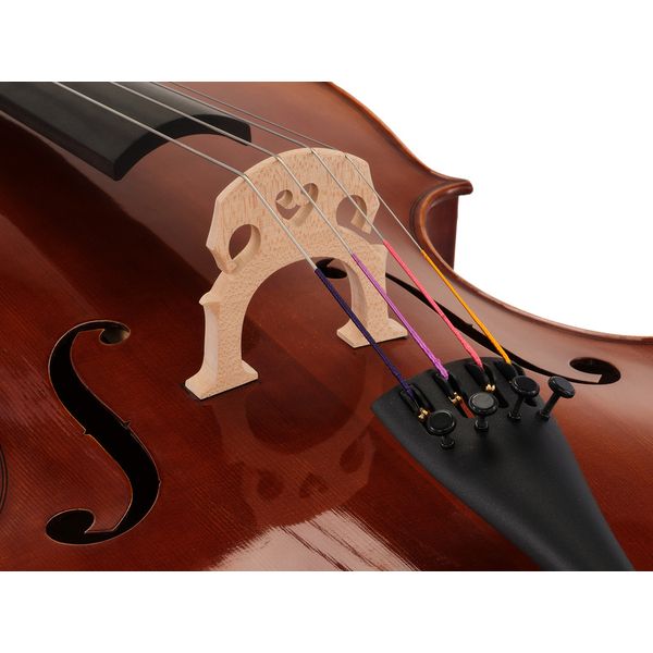 Gewa Maestro 6 Cello 7/8
