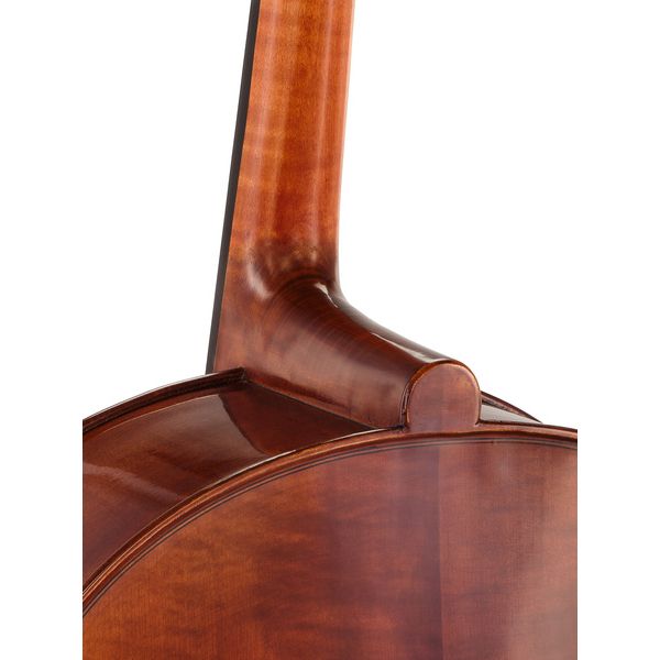 Gewa Maestro 6 Cello 7/8