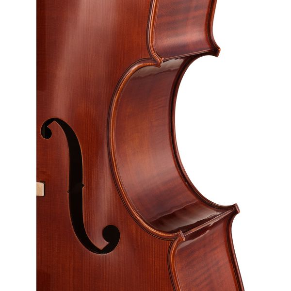 Gewa Maestro 6 Cello 7/8