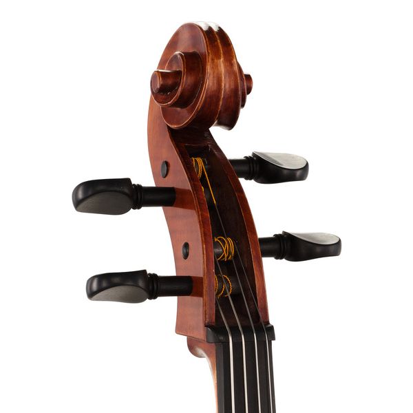 Gewa Maestro 6 Cello 7/8