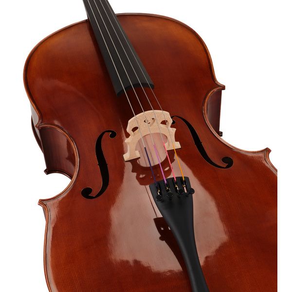 Gewa Maestro 6 Cello 7/8