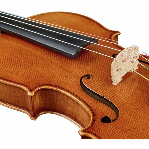 Karl Höfner Guadagnini 4/4 Violin Outfit