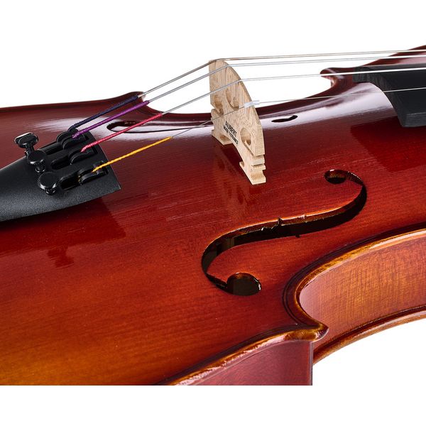 Roth & Junius RJV-A Antiqued Violin Set 4/4