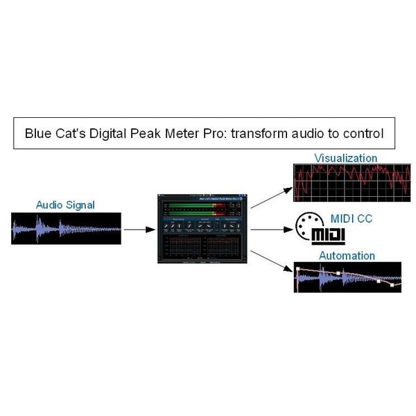 Blue Cat Audio Blue Cat's DP Meter Pro