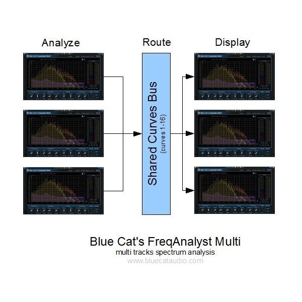 Blue Cat Audio Blue Cat's FreqAnalyst Multi