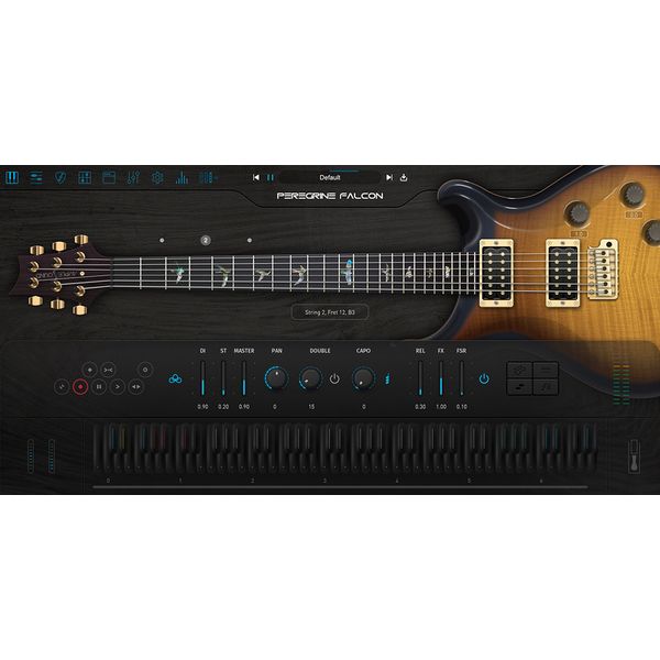 Ample Sound Ample Guitar PF