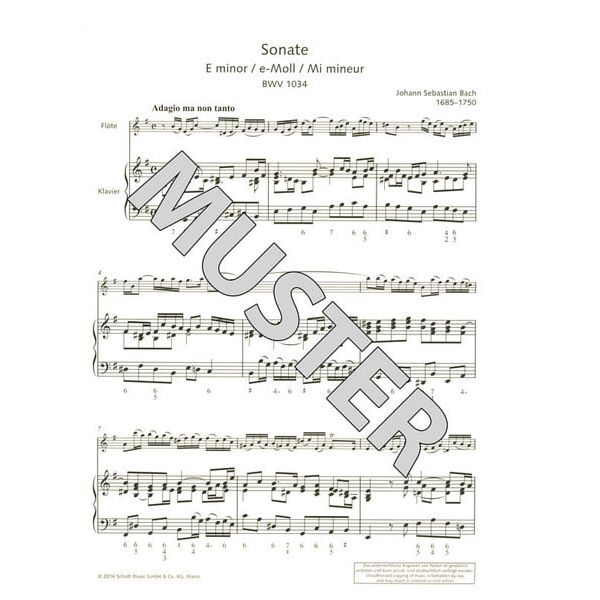 Schott Best Of Flute Classics