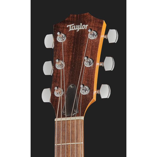 Taylor Academy Series 10e Walnut/Spru