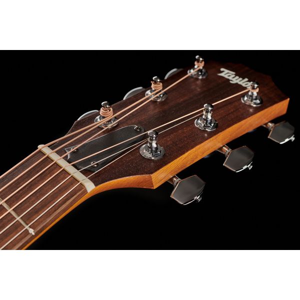 Taylor Academy Series 10e Walnut/Spru