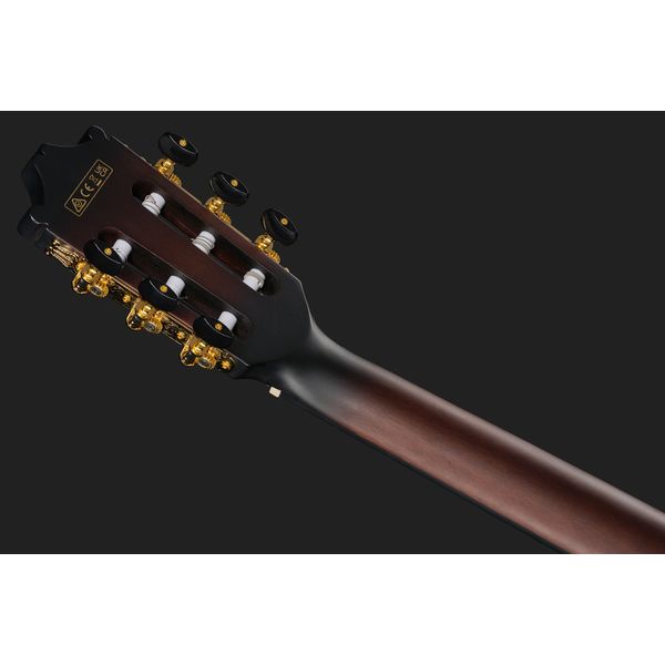Ibanez GA35TCE-DVS