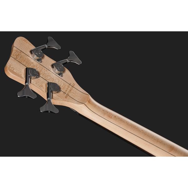 Warwick Artist Line Robert Trujillo 4