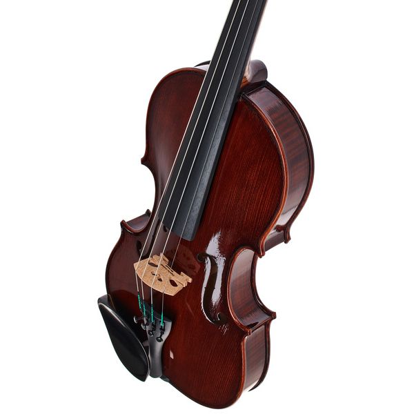 Rainer W. Leonhardt No. 100/2 Master Violin 4/4