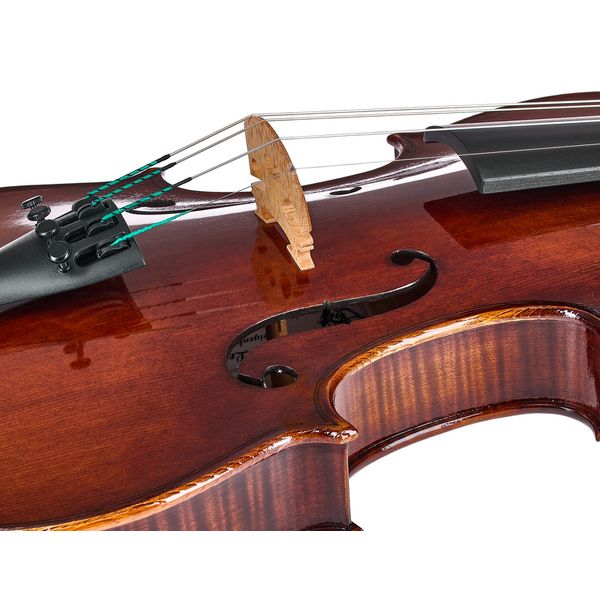 Rainer W. Leonhardt No. 100/2 Master Violin 4/4