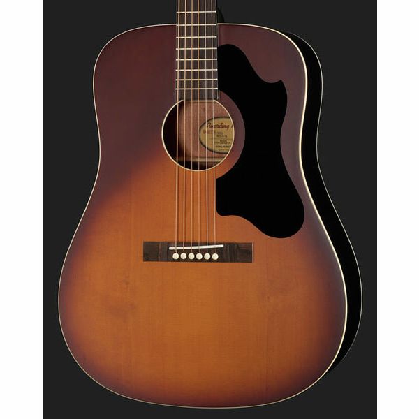 Recording King RDS-9-TS