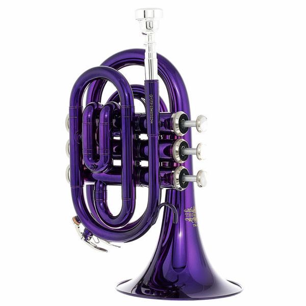 Sky Band Approved Purple Plated Brass Bb Pocket Trumpet with Case, Cloth,  Gloves and Valve Oil