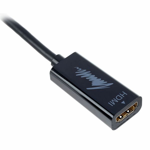 Lindy Adaptateur HDMI Vers DisplayPort 38433 Argenté
