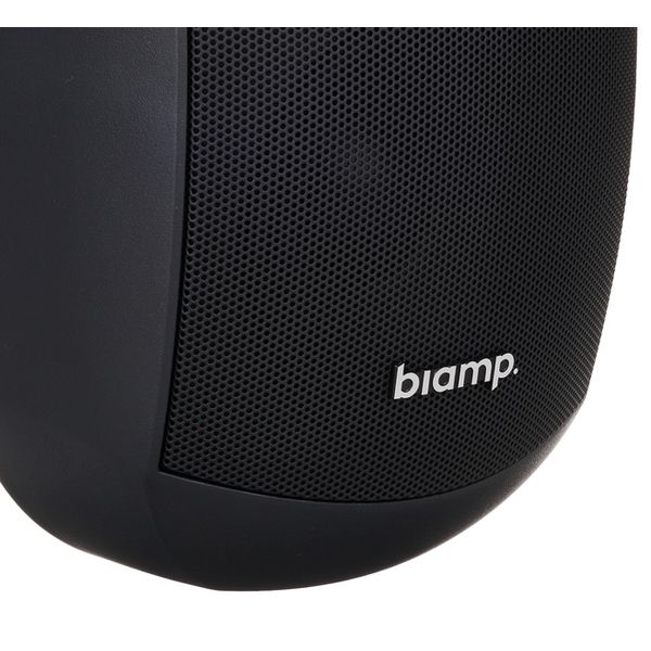 Biamp Systems MASK4C Black