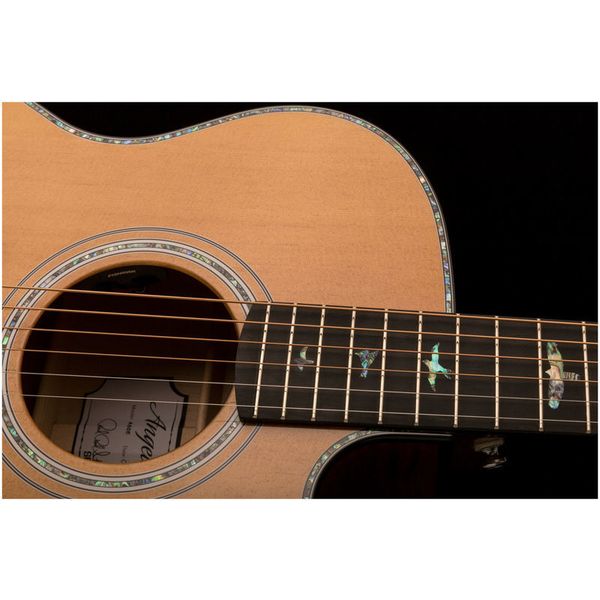 PRS SE A50E BG inc. Case
