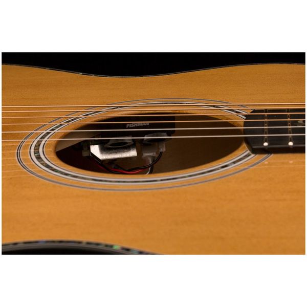 PRS SE A50E BG inc. Case