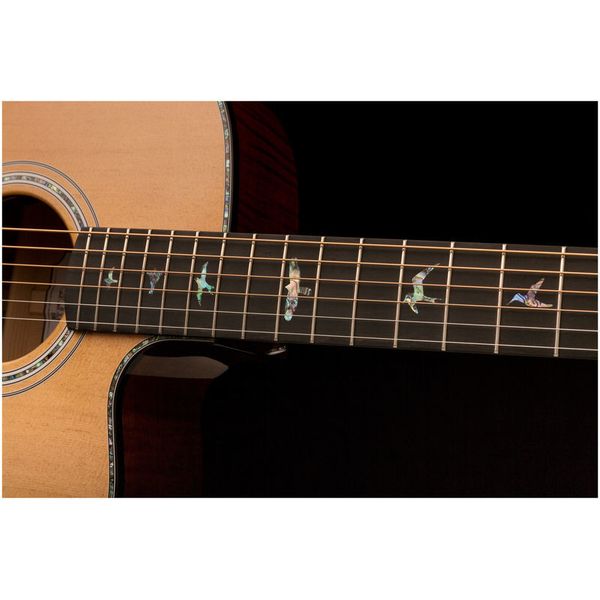 PRS SE A50E BG inc. Case