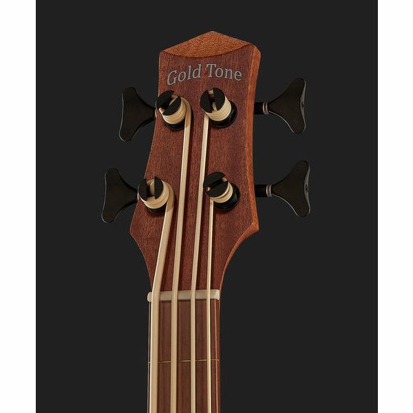 Gold Tone Micro Bass 25 Fretless w/Bag