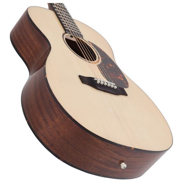 Recording King RO-G6 Solid Top Triple O