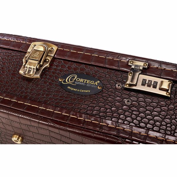 Louis Vuitton Suitcase Classical Guitar