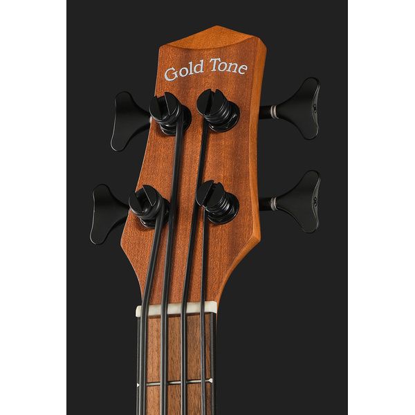 Gold Tone Micro Bass 25 w/Bag