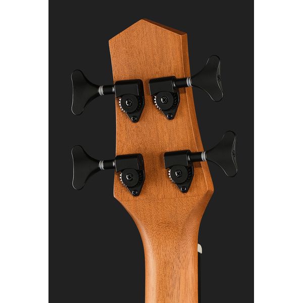 Gold Tone Micro Bass 25 w/Bag