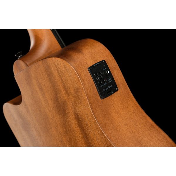 Gold Tone Micro Bass 25 w/Bag