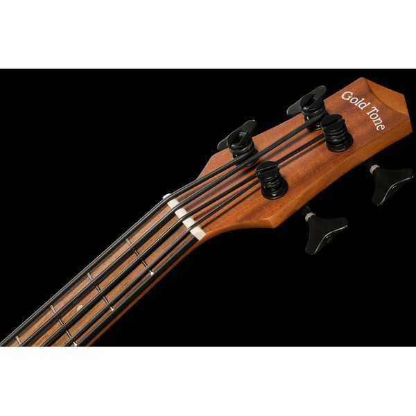 Gold Tone Micro Bass 25 w/Bag