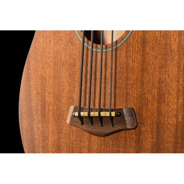 Gold Tone Micro Bass 25 w/Bag