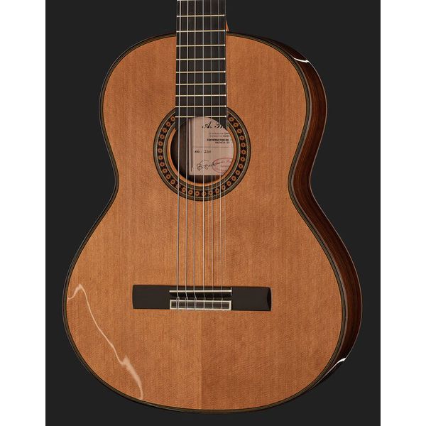 Amalio Burguet 2DV w/Case