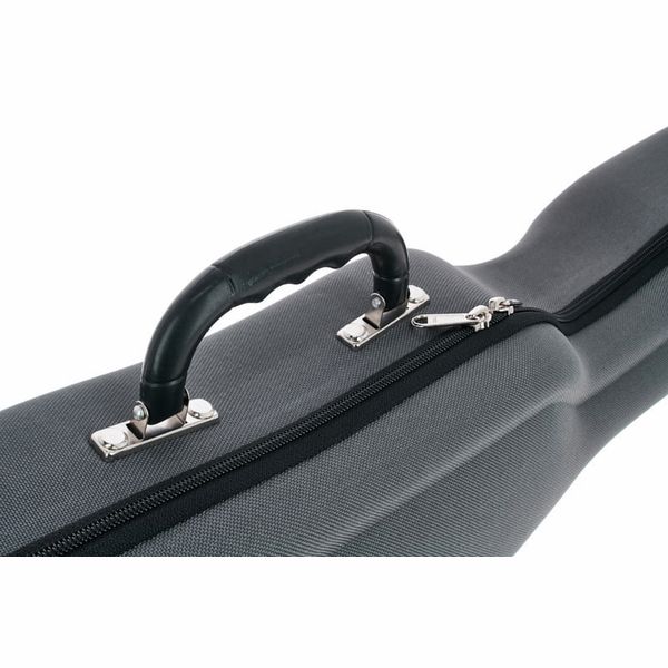 Roth & Junius New Violin Shaped Case Eva GY