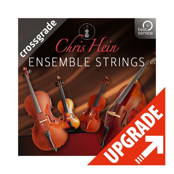 Best Service Chris Hein Ensemble Strings CG