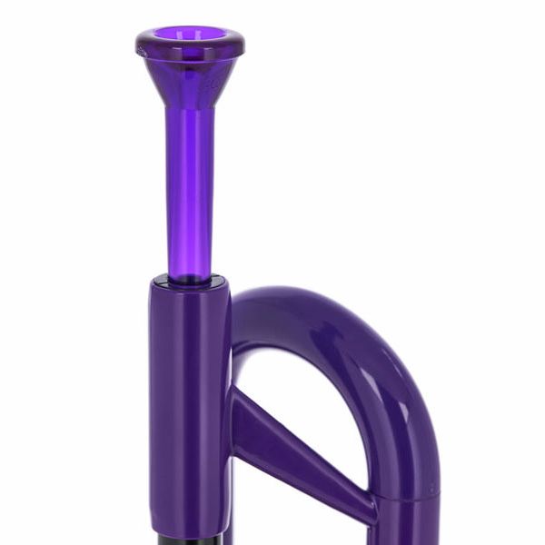 pTrumpet Trumpet Violet