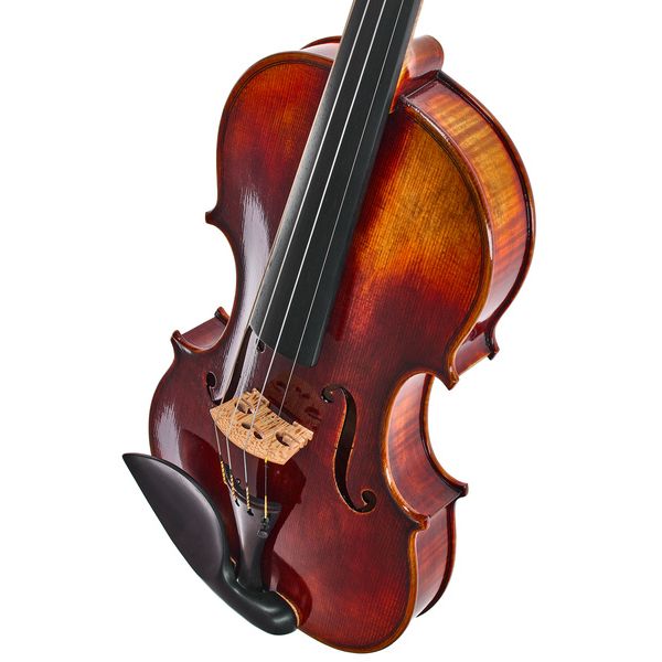 Franz Sandner Meisterwerk Guarneri Vn 4/4