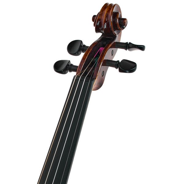 Franz Sandner Meisterwerk Guarneri Vn 4/4