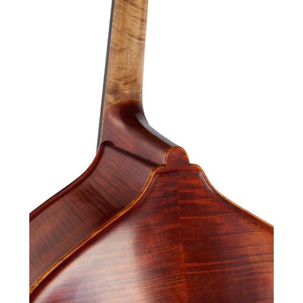 Scala Vilagio Double Bass Tarantini Grande