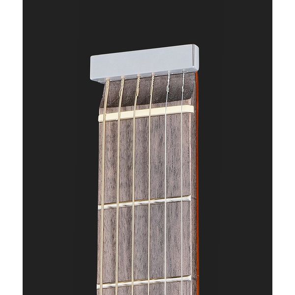 Traveler Guitar Traveler Pro Series Maple AB