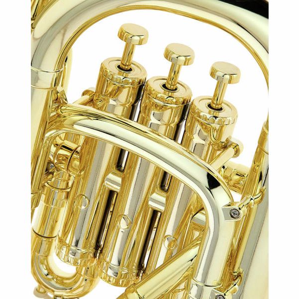 Startone PEP-20 GOLD Bb-Euphonium