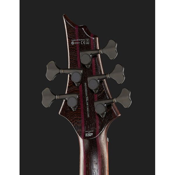 ESP LTD B-1005 Natural Satin